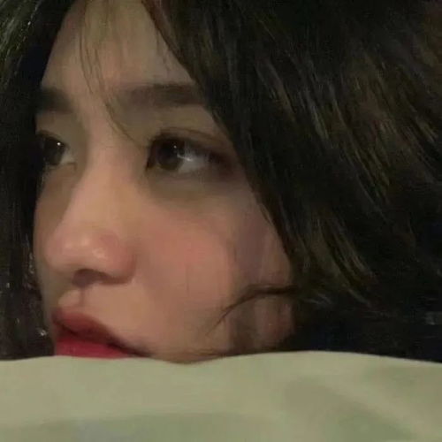 女头纵然是齐眉举案