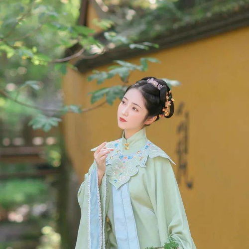 唯美意境古风女生头像山有木兮木有枝心悦君兮君不知
