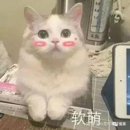长期化妆和不化妆有什么区别看下明星的妆前妆后