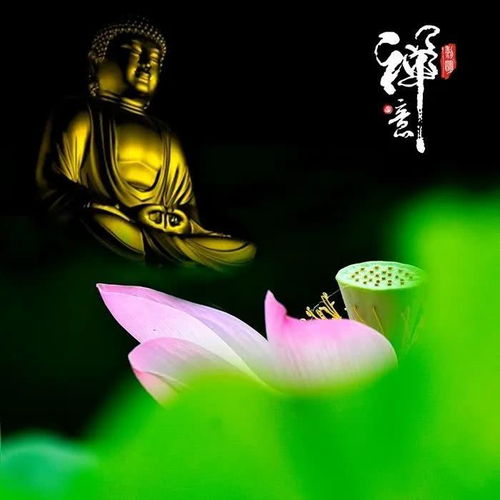 生于69年,81年,93年的属鸡人,2020年谁是享福的命