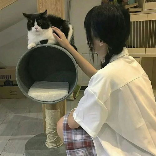 纯情女高中生专用头像