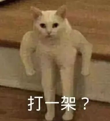 利好利空晚报中央金融委定调聚焦数字金融等五大方面茅台特别分红240亿