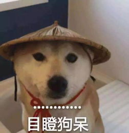 面基网恋三个月的高富帅男友,结果让我大吃一惊