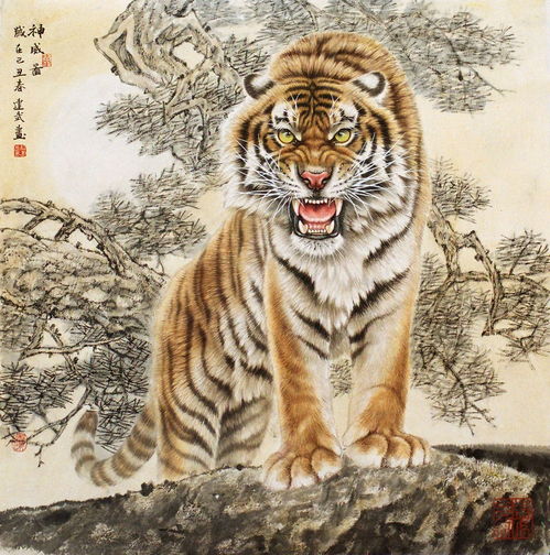 2021年大金虎,生肖虎喜事家中留,属虎人看看什么喜