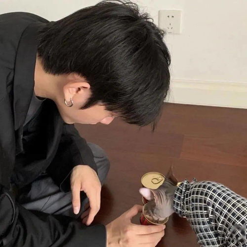 一组超爱的微信头像