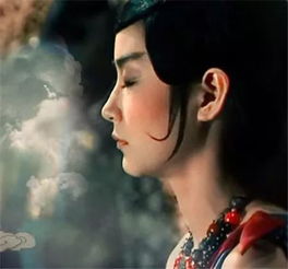 琼瑶女郎传奇上悲情女王刘雪华与奇情少女岳翎