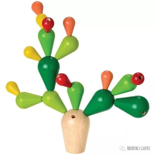 开团plantoys2岁平衡仙人掌,英国进口购物清单桌游覆盖不同能力,都是宝宝需要的