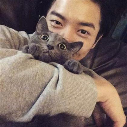 抱着猫的男生帅气头像,今天和抱猫的男头干上劲了