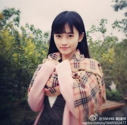 日本人选出中国第一美女网友太常见