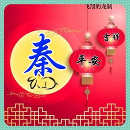 大红灯笼做成的百家姓头像,平安吉祥,喜庆的红色,找找你的姓氏