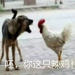 为什么你长得这么好看还单身