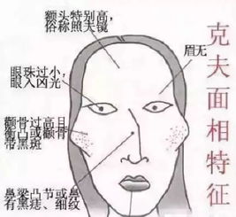 如懿传李沁版香妃太丑这是高颧骨的错