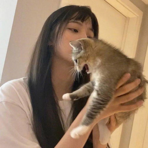 头像精选