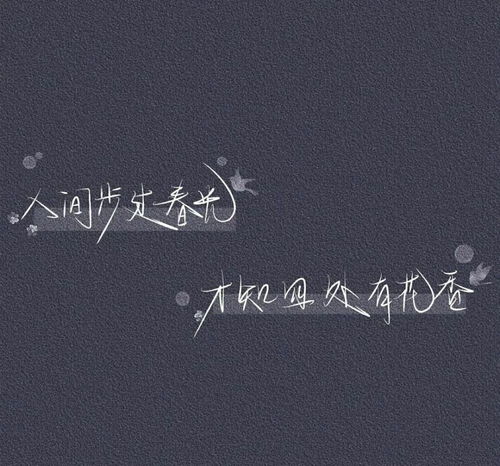 名片壁纸那个美女,就是本人
