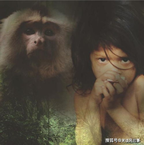 英国女子儿时被丢弃在森林,与猴群共同生活5年,经历真假惹争议